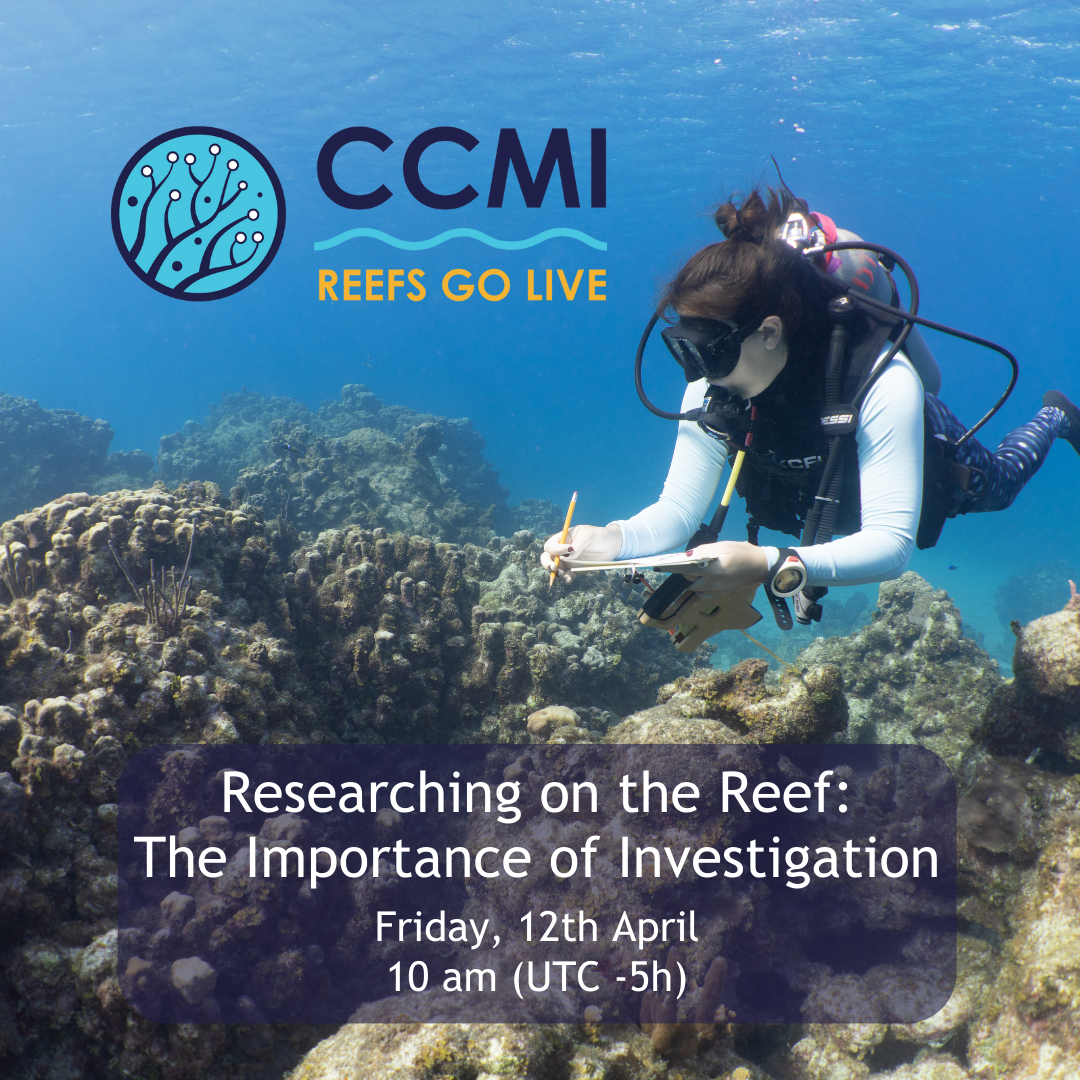 CCMI Reefs Go Live virtual live dive broadcast